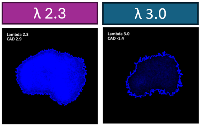 Optical combustion analysis