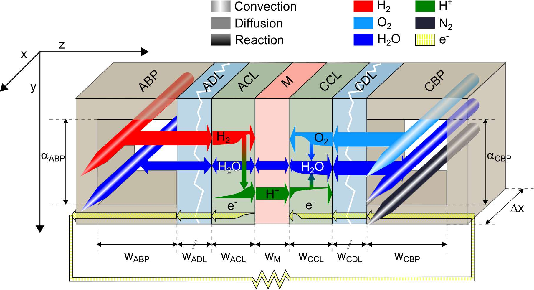 Physical phenomena in the FC model